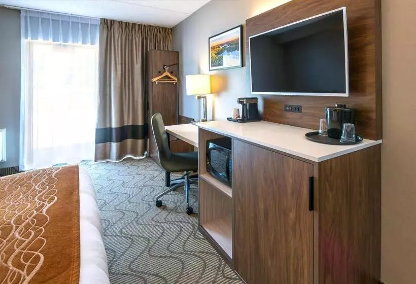 اتاق استاندارد در طبقه همکف, Comfort Inn Lakeshore