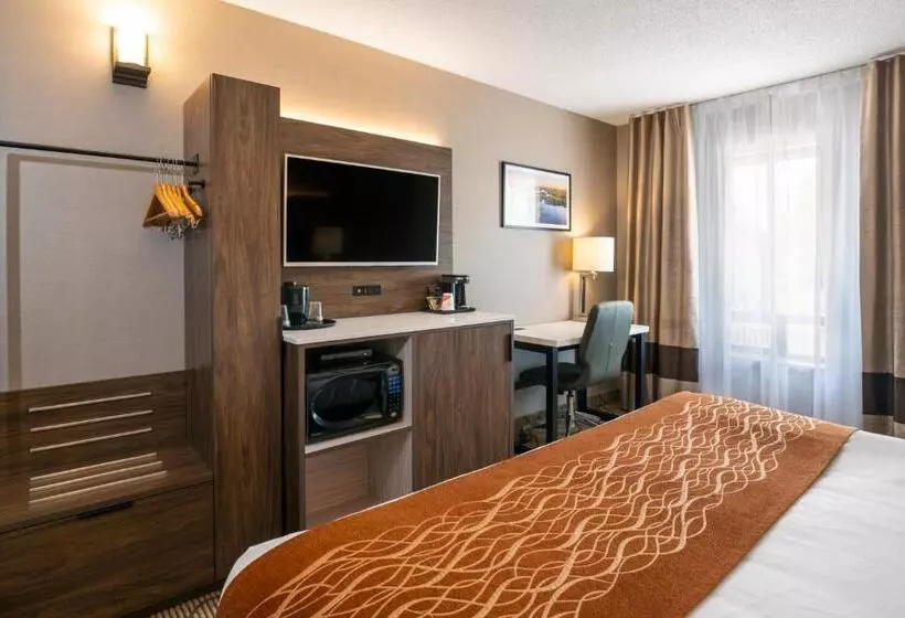 اتاق استاندارد با تخت بزرگ, Comfort Inn Lakeshore
