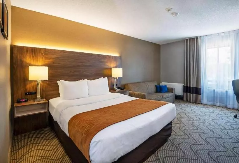 اتاق استاندارد در طبقه همکف, Comfort Inn Lakeshore