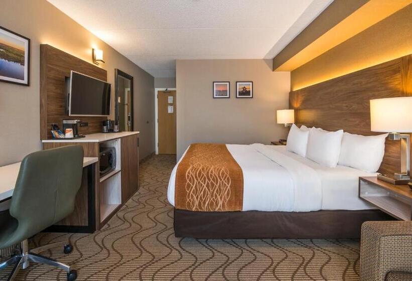 Стандартный Номер Нижний Этаж, Comfort Inn Lakeshore