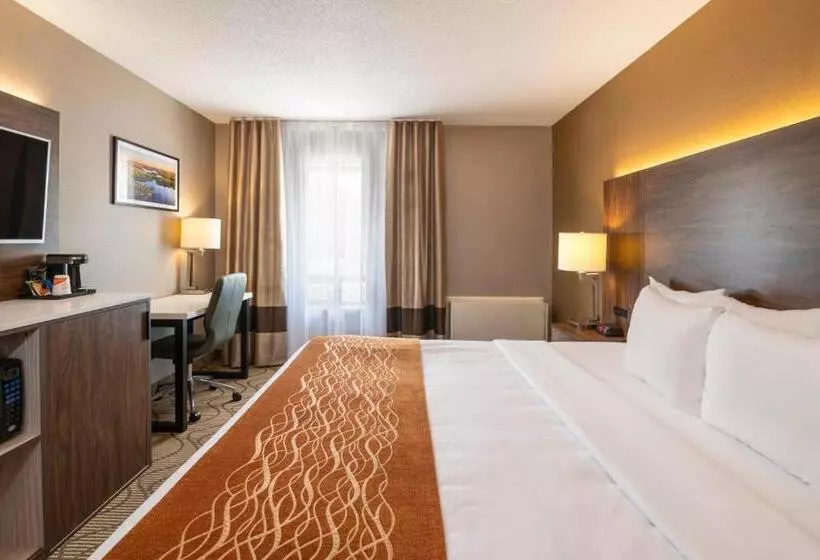 اتاق استاندارد, Comfort Inn Lakeshore