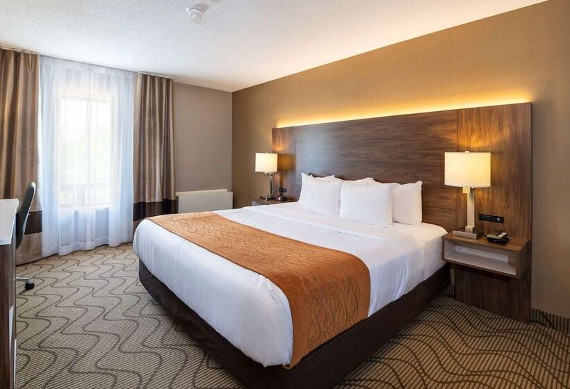 Стандартный Номер Кровать Кинг, Comfort Inn Lakeshore