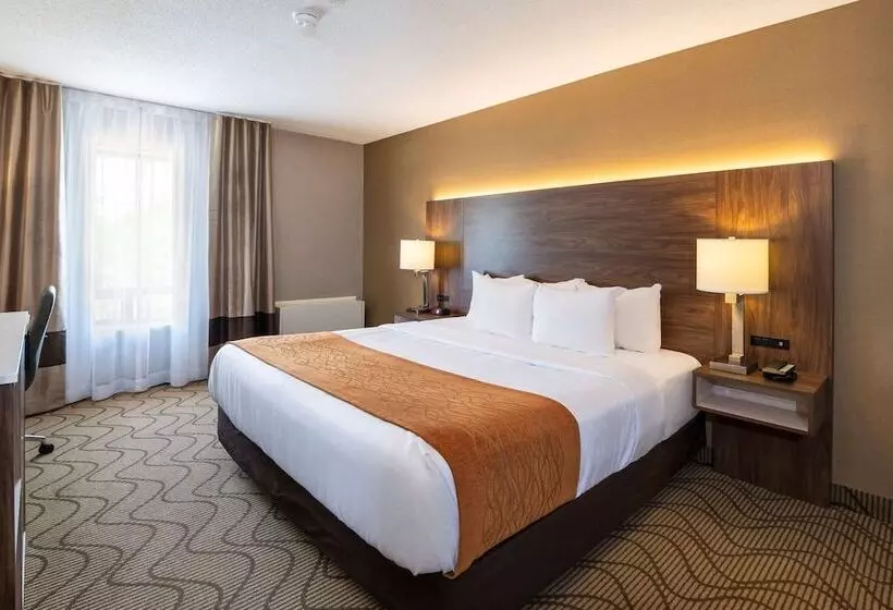 اتاق استاندارد با تخت بزرگ, Comfort Inn Lakeshore
