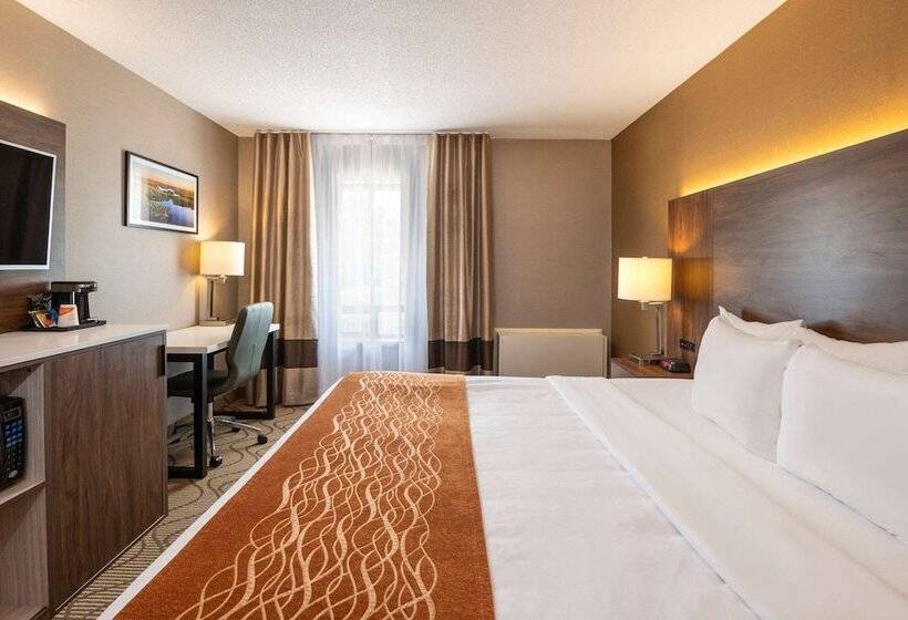 חדר סטנדרט עם מיטת קינג, Comfort Inn Lakeshore