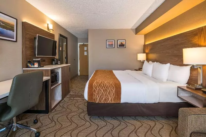 اتاق استاندارد, Comfort Inn Lakeshore