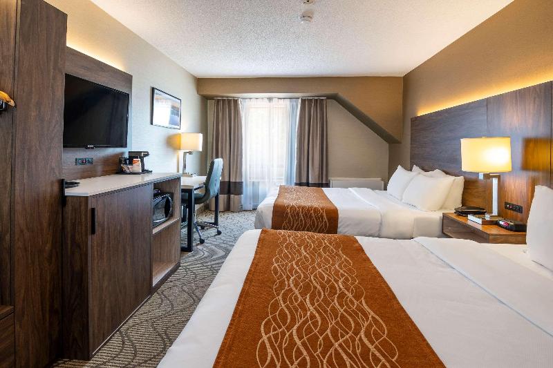 Номер Стандарт, Comfort Inn Lakeshore