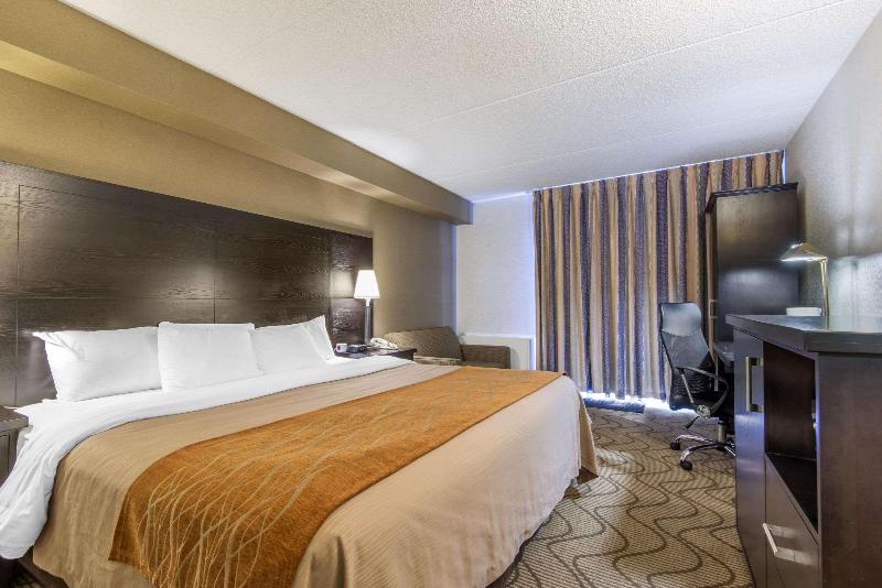 Стандартный Номер Кровать Кинг, Comfort Inn Lakeshore