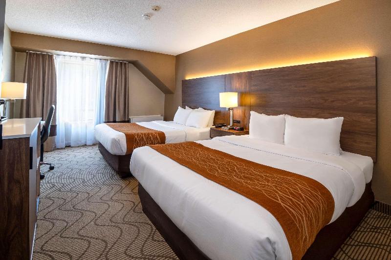 חדר סטנדרט, Comfort Inn Lakeshore