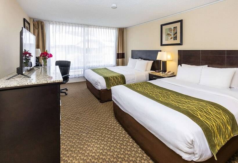 ２ダブルベッドのスタンダードルーム, Comfort Inn & Suites