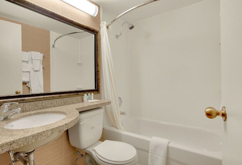 חדר סטנדרט שתי מיטות זוגיות, Comfort Inn & Suites