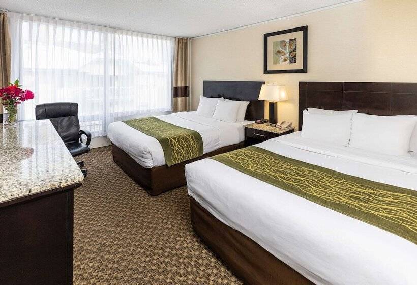 ２ダブルベッドのスタンダードルーム, Comfort Inn & Suites