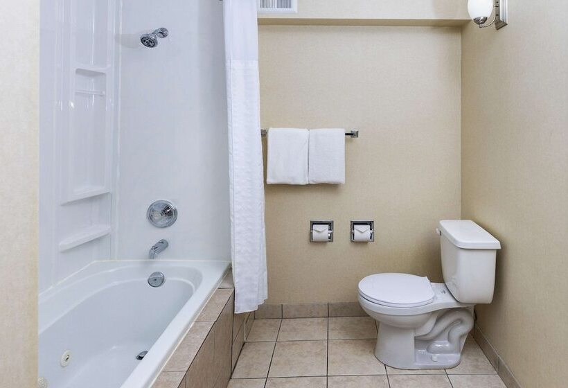 חדר סטנדרט שתי מיטות זוגיות, Comfort Inn & Suites