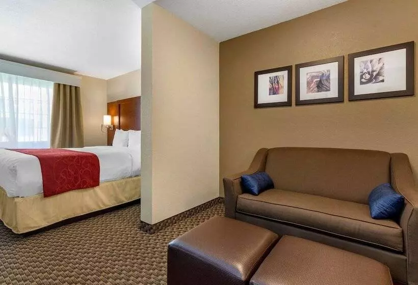 スイート, Comfort Suites Phoenix Airport