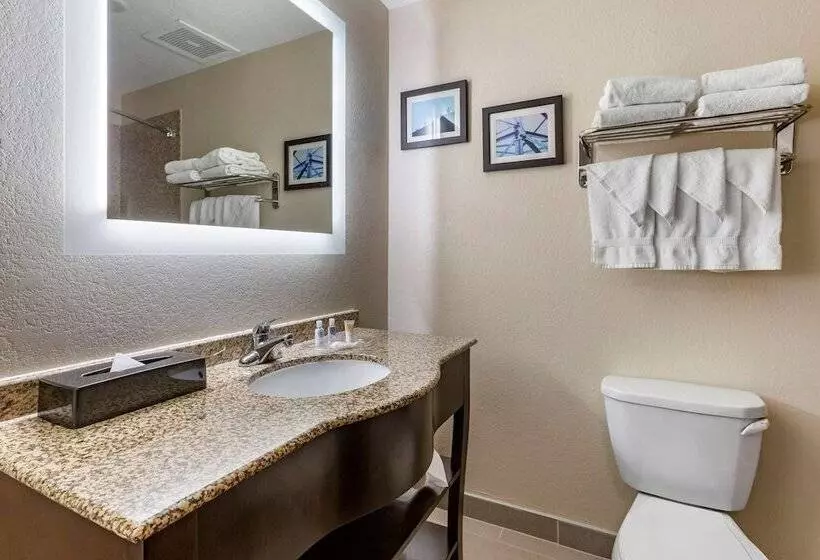 クイーンサイズベッドのスイートルーム, Comfort Suites Phoenix Airport