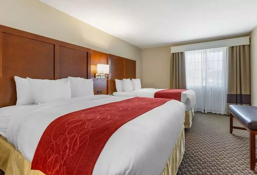 クイーンサイズベッドのスイートルーム, Comfort Suites Phoenix Airport