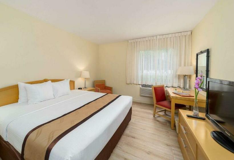 غرفة قياسية سرير كينج لذوى الإحتياجات الخاصة, Quality Hotel Real Aeropuerto San Salvador