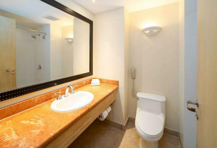 غرفة قياسية سرير كينج لذوى الإحتياجات الخاصة, Quality Hotel Real Aeropuerto San Salvador