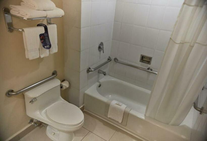 带大床的标准间, Quality Hotel Real Aeropuerto San Salvador