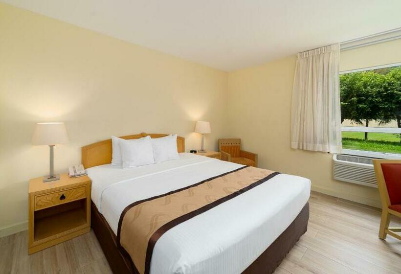 Номер Стандарт Кровать Кинг Адаптированный для Инвалидов, Quality Hotel Real Aeropuerto San Salvador