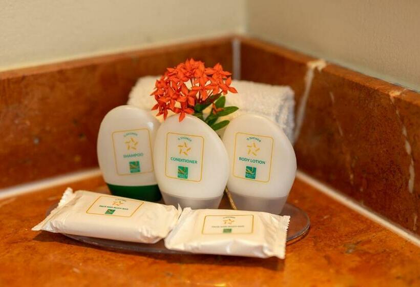 غرفة قياسية سرير كينج لذوى الإحتياجات الخاصة, Quality Hotel Real Aeropuerto San Salvador