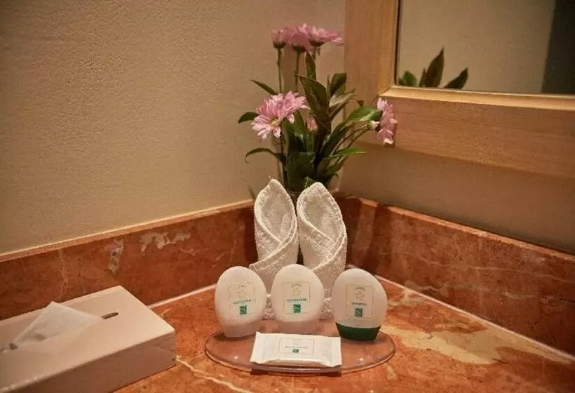 اتاق استاندارد با 2 تخت دوبل, Quality Hotel Real Aeropuerto San Salvador
