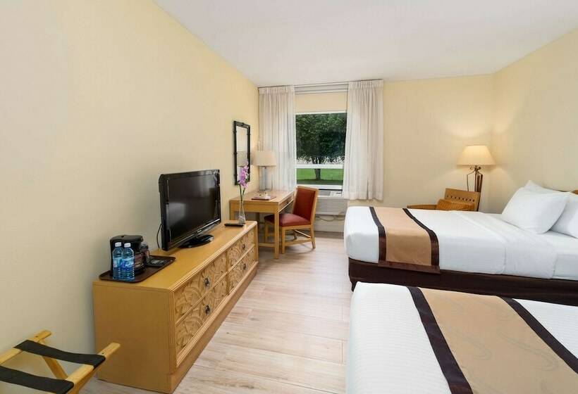 带2个双人床的标准工作室, Quality Hotel Real Aeropuerto San Salvador