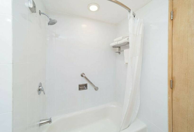 带2个双人床的标准工作室, Quality Hotel Real Aeropuerto San Salvador