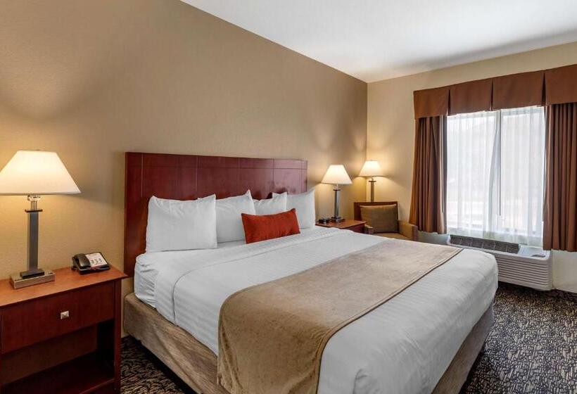 Стандартный Номер Кровать Кинг, Best Western Plus Boulder Louisville