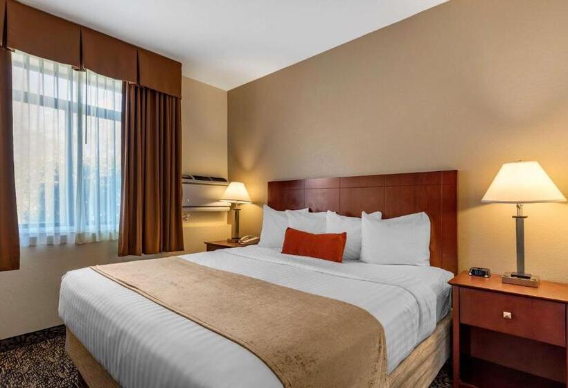 Номер Стандарт Кровать Кинг Адаптированный для Инвалидов, Best Western Plus Boulder Louisville