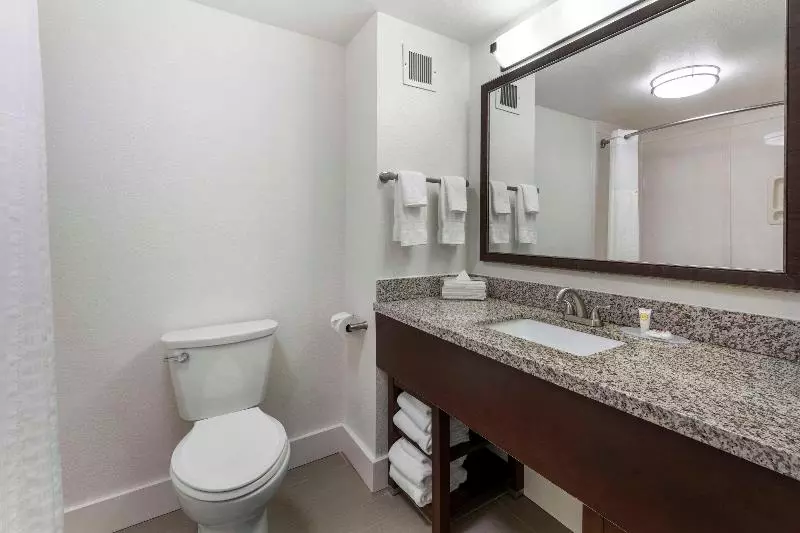 سوئیت با تخت بزرگ, Comfort Suites