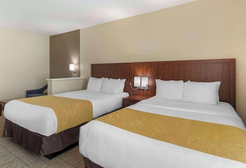 Люкс, Comfort Suites