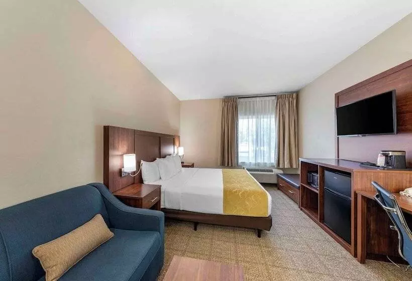 سوئیت برای معلولان, Comfort Suites