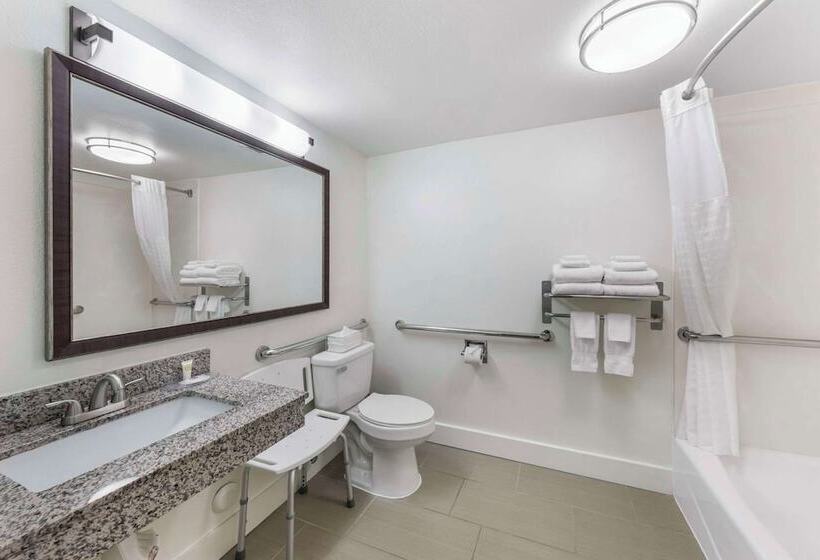 Люкс Адаптированный для Инвалидов, Comfort Suites