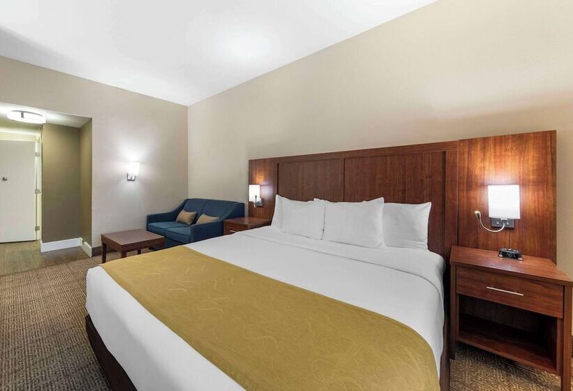 Люкс Адаптированный для Инвалидов, Comfort Suites