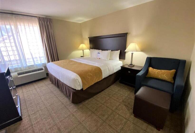 Люкс Кровать Кинг, Comfort Suites