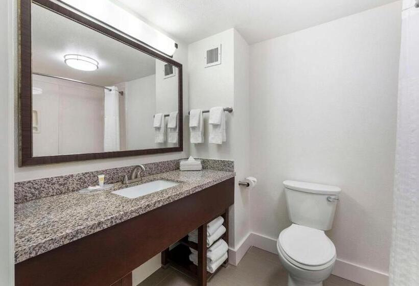 Люкс Кровать Кинг, Comfort Suites