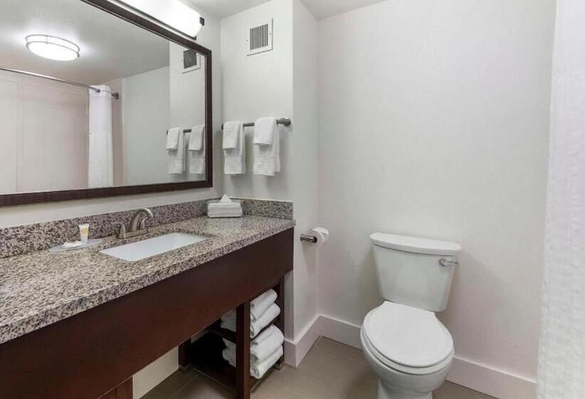 Люкс, Comfort Suites