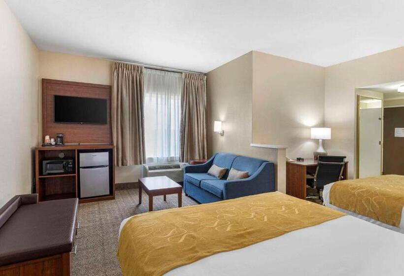 Люкс, Comfort Suites