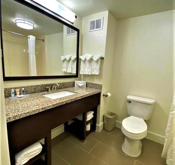 Люкс, Comfort Suites