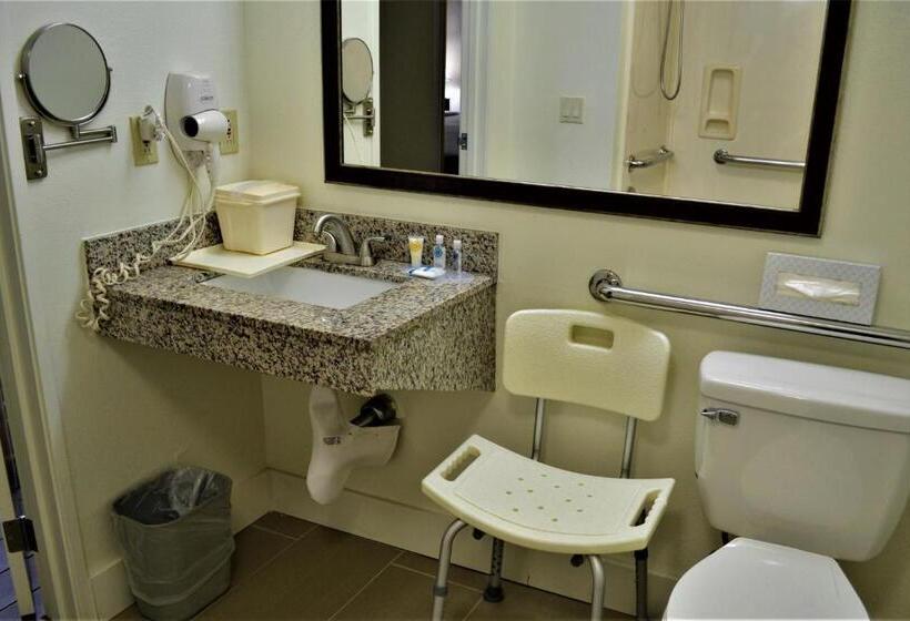 Люкс Адаптированный для Инвалидов, Comfort Suites