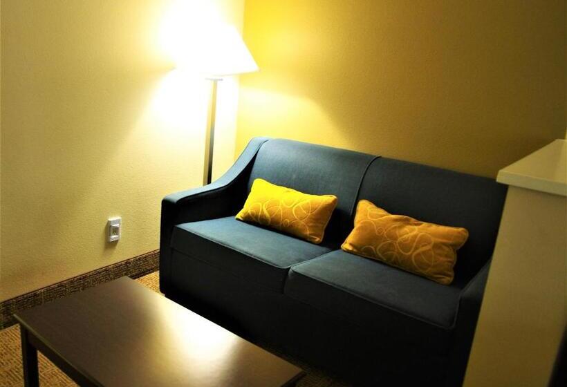 Люкс Адаптированный для Инвалидов, Comfort Suites