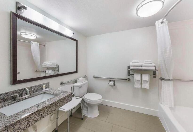 Люкс Адаптированный для Инвалидов, Comfort Suites