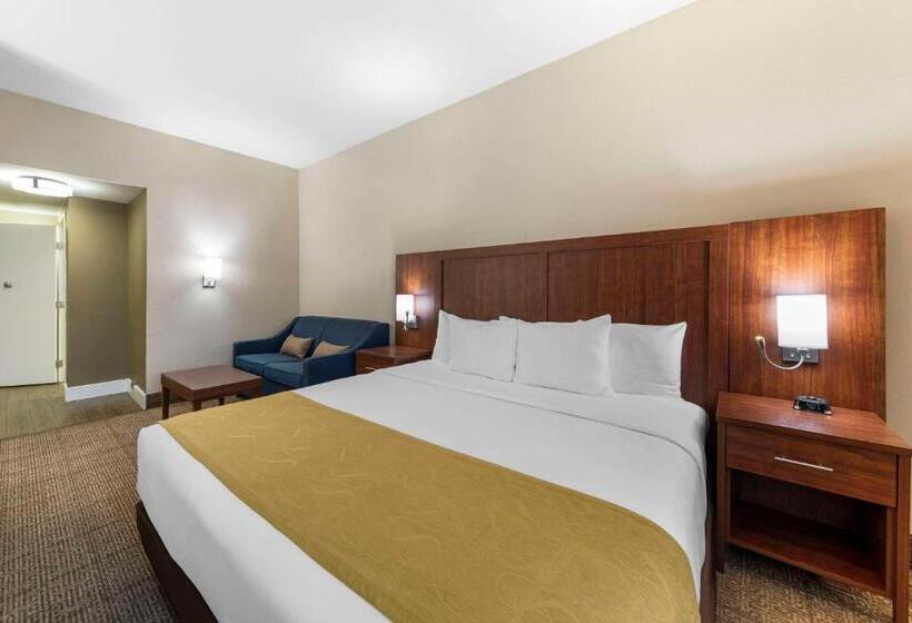 Люкс Адаптированный для Инвалидов, Comfort Suites