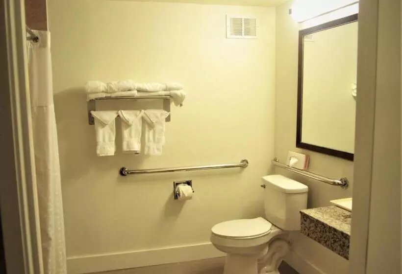 اتاق استاندارد برای معلولان, Comfort Suites