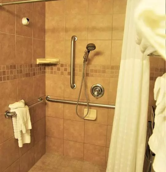 اتاق استاندارد برای معلولان, Comfort Suites