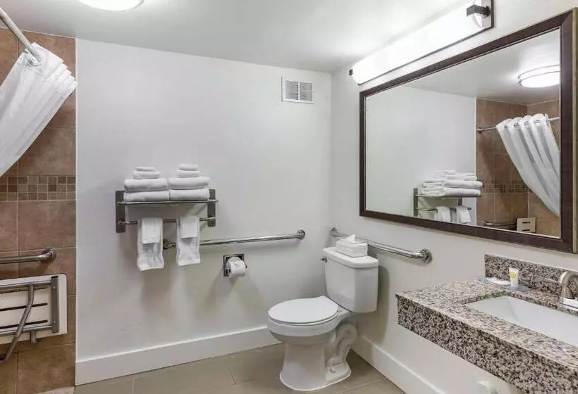 اتاق استاندارد برای معلولان, Comfort Suites