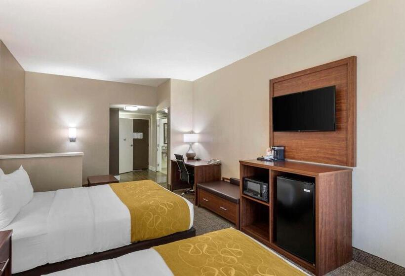 Номер Стандарт Адаптированный для Инвалидов, Comfort Suites