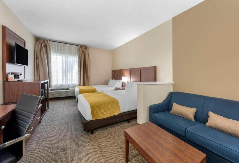 Номер Стандарт Адаптированный для Инвалидов, Comfort Suites