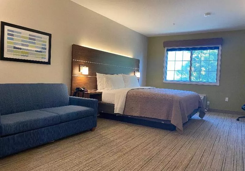 キングサイズベッドのスタンダードルーム, Holiday Inn Express & Suites Mountain View, An Ihg