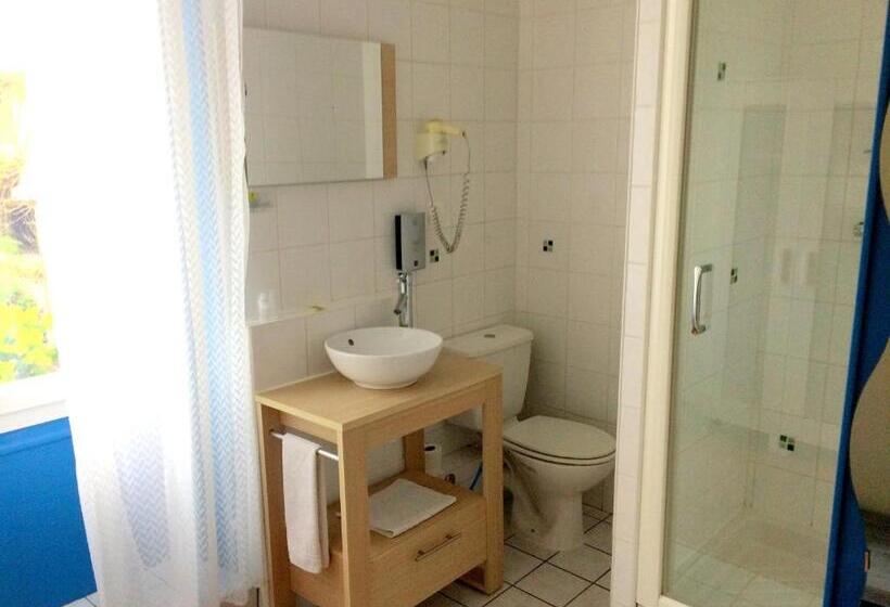 スタンダードシングルルーム, Logis Hotel L Occitan 2 étoiles